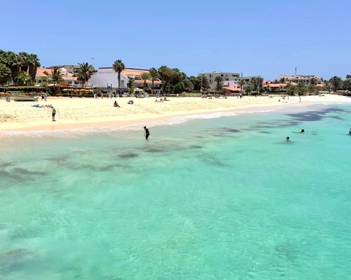 WhatsApp Image 2026-01-07 at 12.03.59 AM